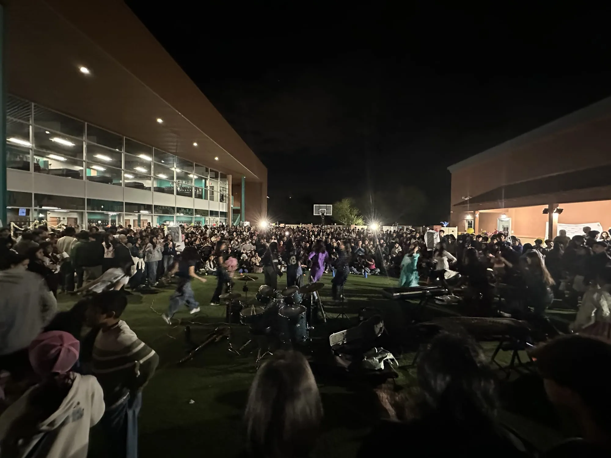 A large crowd gathered on the lawn at night watching performers